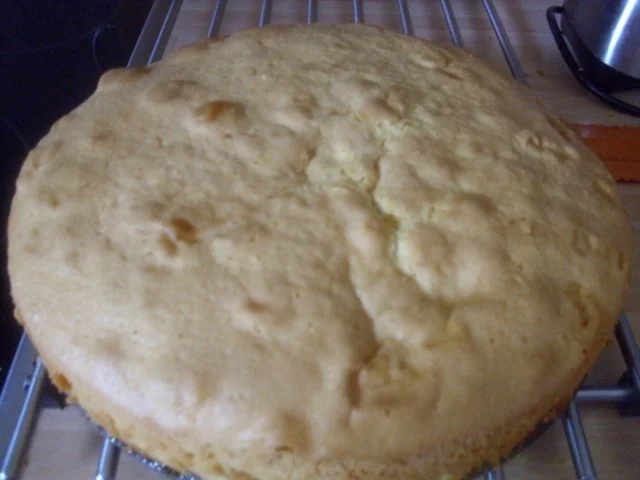 Rezept: Bratapfelkuchen Bild Nr. 9 Bratapfelkuchen - Rezept - Bild Nr. 9