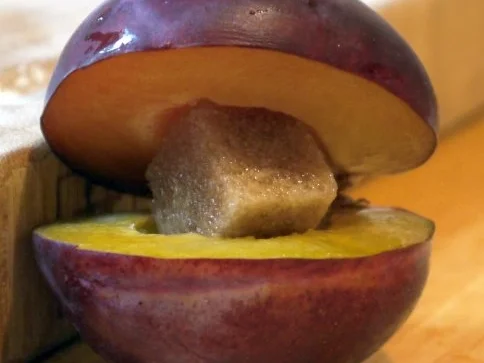 Rezept: Zwetschgen-Rohrnudeln mit Vanille-Sauce Bild Nr. 10 Zwetschgen-Rohrnudeln mit Vanille-Sauce - Rezept - Bild Nr. 10