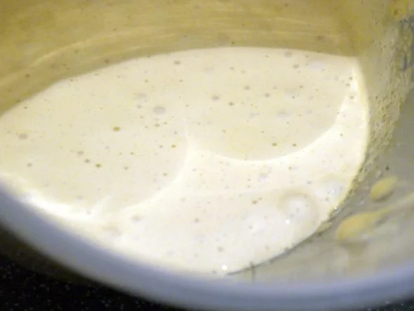 Rezept: Zwetschgen-Rohrnudeln mit Vanille-Sauce Bild Nr. 15 Zwetschgen-Rohrnudeln mit Vanille-Sauce - Rezept - Bild Nr. 15