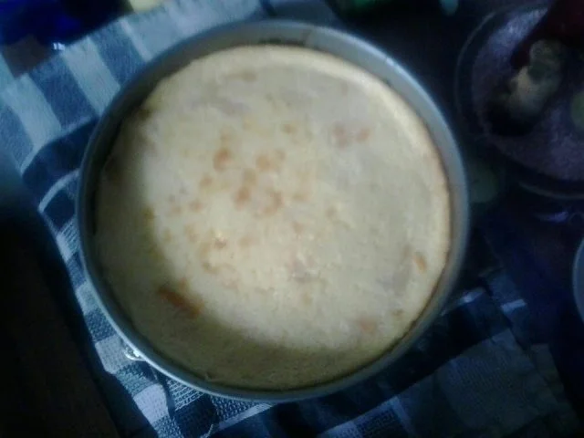 Mandarinen-Schmandkuchen - Rezept