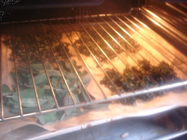 Kräuter aus dem eigenen Garten - Rezept - Bild Nr. 4