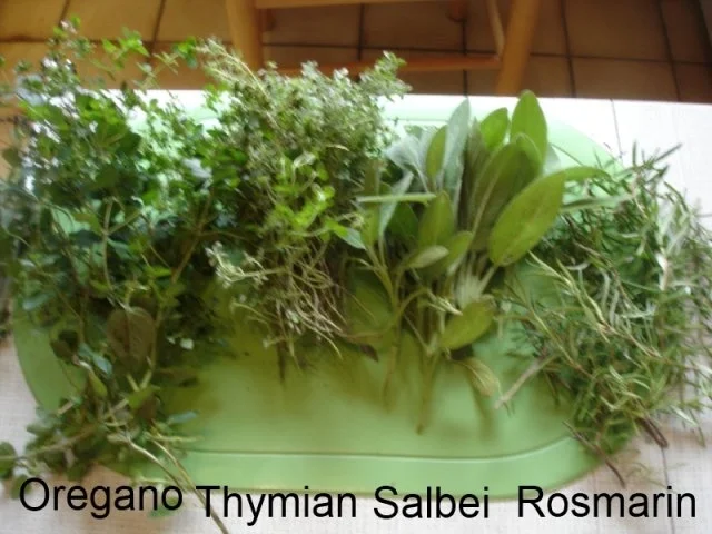 Kräuter aus dem eigenen Garten - Rezept - Bild Nr. 2