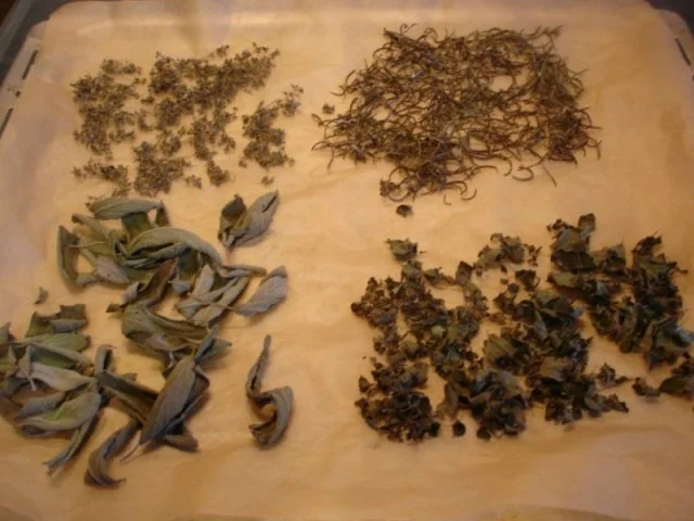 Kräuter aus dem eigenen Garten - Rezept - Bild Nr. 5