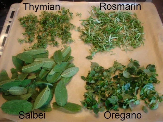 Kräuter aus dem eigenen Garten - Rezept - Bild Nr. 3