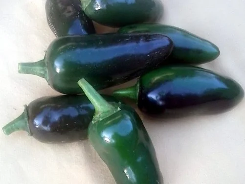 Rezept: Tomatillo Salsa Bild Nr. 5 Tomatillo Salsa - Rezept - Bild Nr. 5