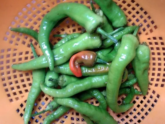 Rezept: Tomatillo Salsa Bild Nr. 4 Tomatillo Salsa - Rezept - Bild Nr. 4