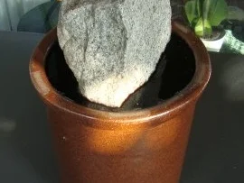 Grüne Tomaten, süß-sauer eingelegt - Rezept - Bild Nr. 10