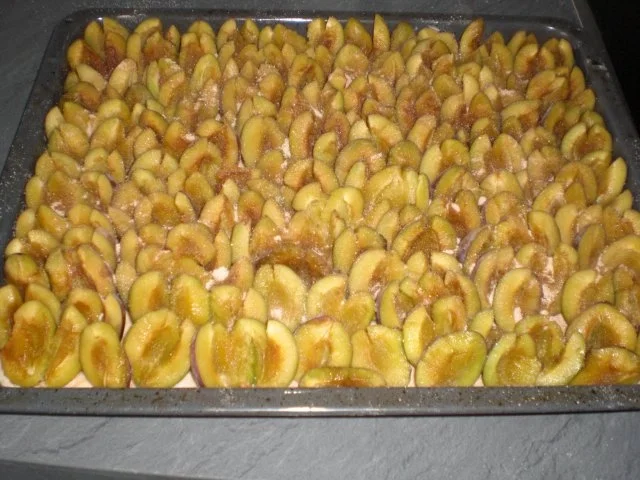 Zwetschgenkuchen mit Streußel - Rezept - Bild Nr. 11