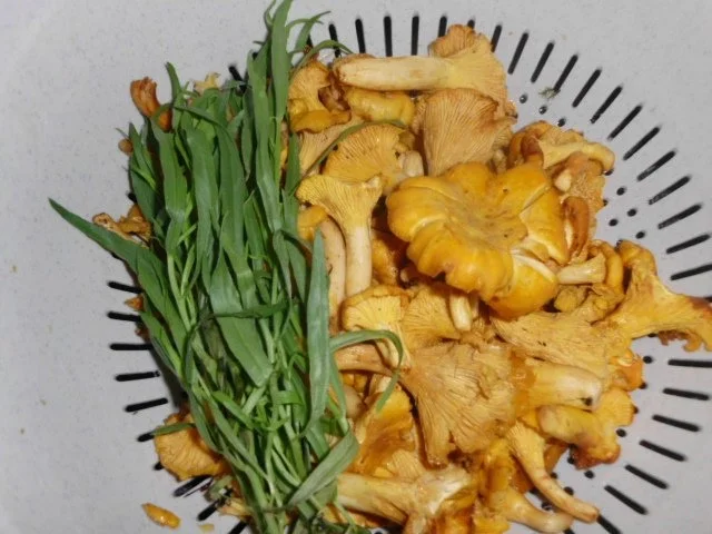 Roastbeef mit Pfifferlingen in einer Paprika-Rahmsauce mit Estragon - Rezept - Bild Nr. 3