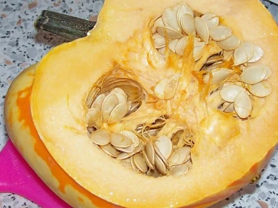 Flammkuchen mit Balsamico-Kürbis-Gemüse und zweierlei Käse - Rezept - Bild Nr. 3