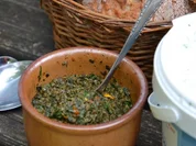 Giersch- Pesto - Rezept