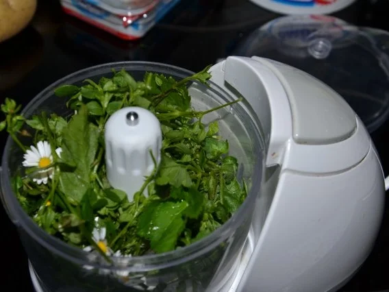 2. Wildkräuterdip - Rezept - Bild Nr. 5