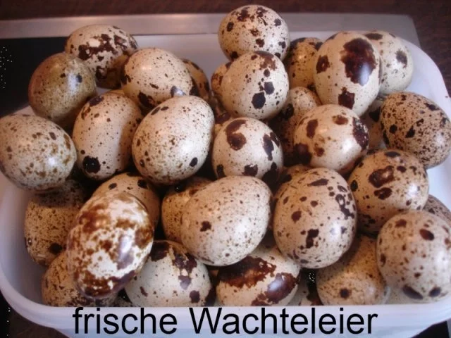 Rezept: Wachtel-Spiegeleier mit „ gebratener Eierreis à la Papa " *) Bild Nr. 2 Wachtel-Spiegeleier mit „ gebratener Eierreis à la Papa " *) - Rezept - Bild Nr. 2