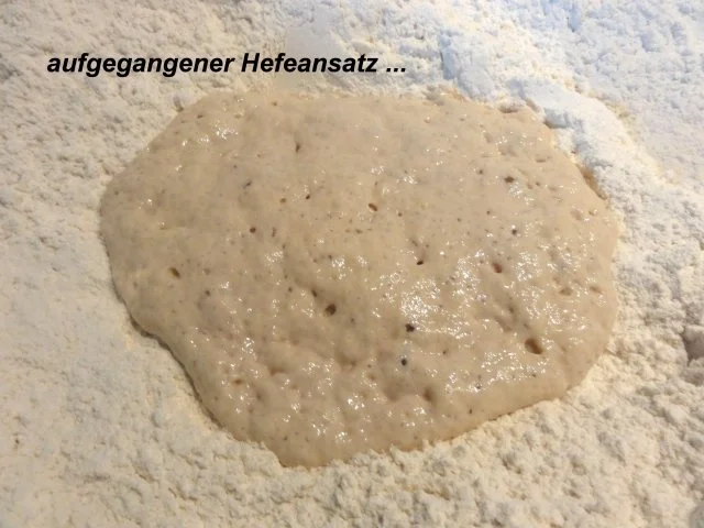 Hefe:   Grundrezept  für PIZZA (italienisch) - Rezept - Bild Nr. 4