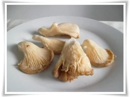 Omelett mit Austernpilze in Sahnesauce - Rezept - Bild Nr. 2