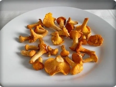 Gefülltes Omelett mit Pfifferlingen - Rezept - Bild Nr. 2