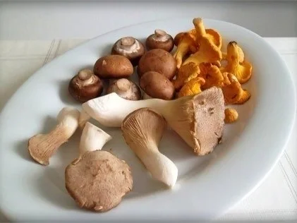 Gemischte Pilze  mit Schupfnudeln - Rezept - Bild Nr. 2