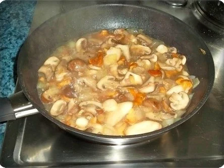 Gemischte Pilze  mit Schupfnudeln - Rezept - Bild Nr. 11