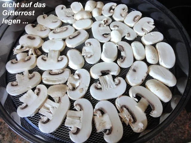 Rezept: Diverses: PILZPULVER -selber herstellen- Bild Nr. 5 Diverses: PILZPULVER -selber herstellen- - Rezept - Bild Nr. 5