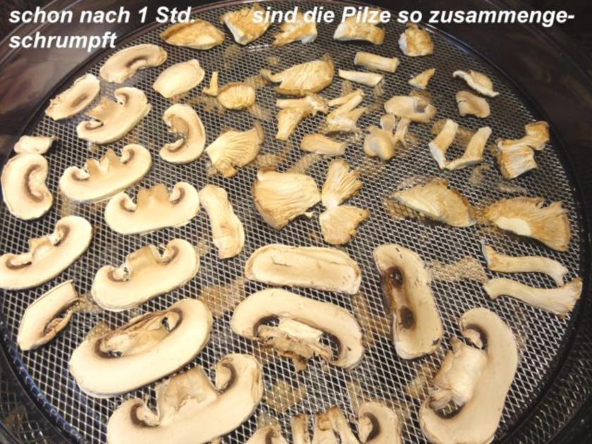 Diverses: PILZPULVER -selber herstellen- - Rezept - kochbar.de