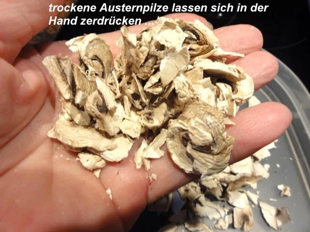 Rezept: Diverses: PILZPULVER -selber herstellen- Bild Nr. 7 Diverses: PILZPULVER -selber herstellen- - Rezept - Bild Nr. 7