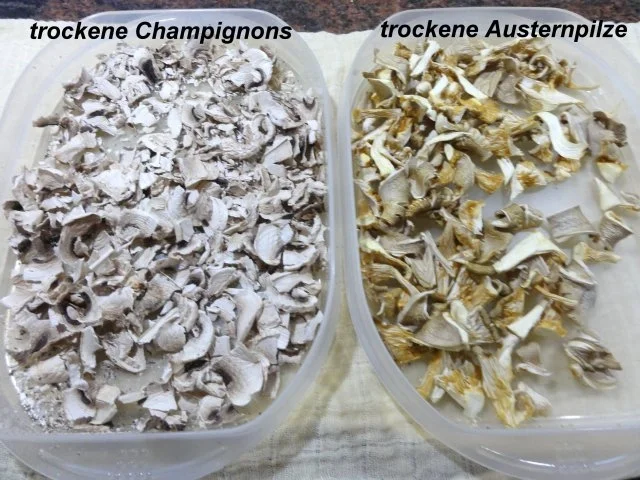 Rezept: Diverses: PILZPULVER -selber herstellen- Bild Nr. 8 Diverses: PILZPULVER -selber herstellen- - Rezept - Bild Nr. 8