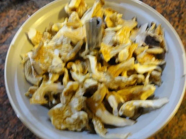 Rezept: Diverses: PILZPULVER -selber herstellen- Bild Nr. 9 Diverses: PILZPULVER -selber herstellen- - Rezept - Bild Nr. 9