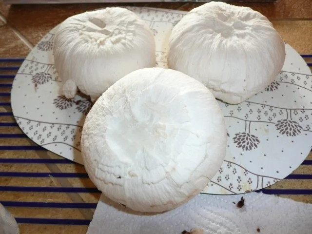 Rezept: Marokkanisch Bild Nr. 6 Marokkanisch - Rezept - Bild Nr. 6