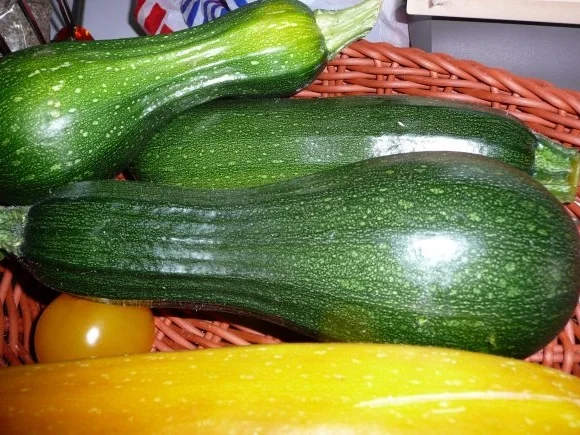 Rezept: Marokkanisch Bild Nr. 3 Marokkanisch - Rezept - Bild Nr. 3