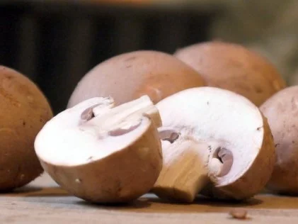 Kräuter-Champignon-Quiche - Rezept - Bild Nr. 4