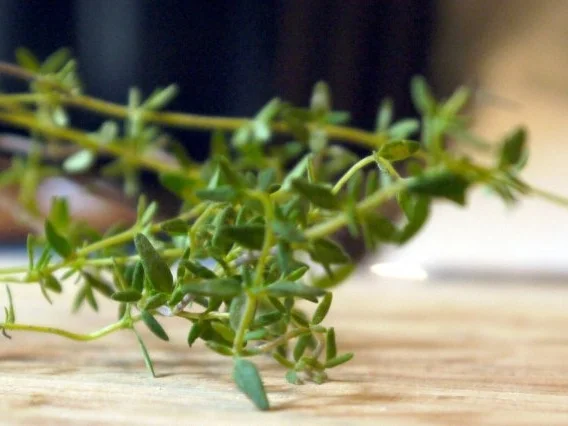 Kräuter-Champignon-Quiche - Rezept - Bild Nr. 6