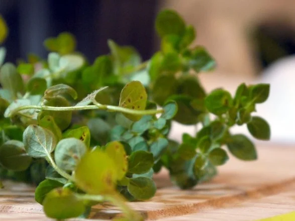 Kräuter-Champignon-Quiche - Rezept - Bild Nr. 7