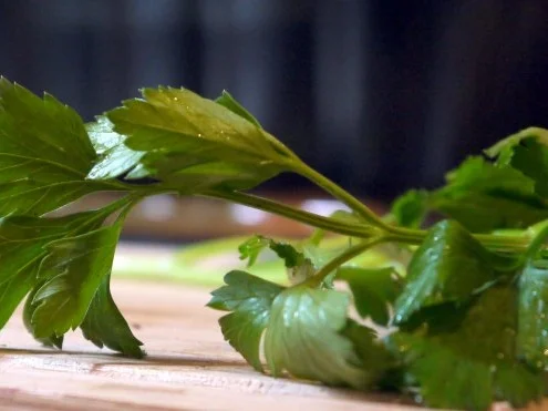 Kräuter-Champignon-Quiche - Rezept - Bild Nr. 8