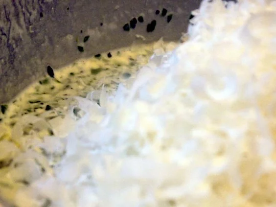 Kräuter-Champignon-Quiche - Rezept - Bild Nr. 10