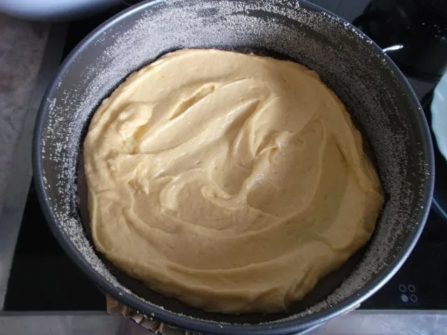 Rezept: Feiner Apfelkuchen Bild Nr. 5 Feiner Apfelkuchen - Rezept - Bild Nr. 5