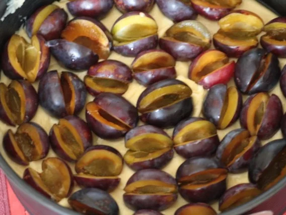 Pflaumenkuchen - Rezept - Bild Nr. 7