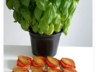 Toastbrot-Häppchen  mit Mozzarella und ….. überbacken - Rezept - Bild Nr. 7