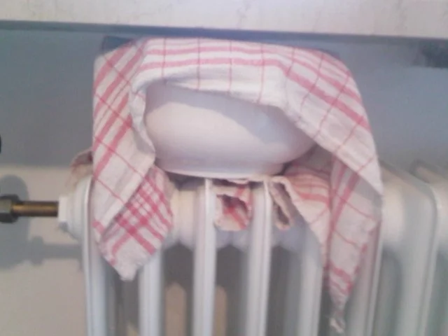 Süsse Hörnchen - Rezept - Bild Nr. 5