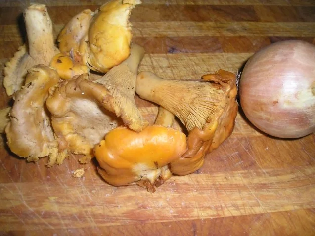 Bandnudeln mit Eierschwammerlsauce (Pfifferlinge) - Rezept - Bild Nr. 2