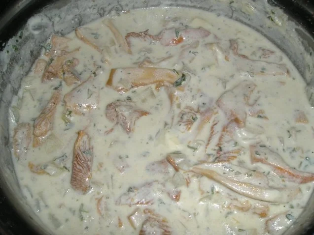 Bandnudeln mit Eierschwammerlsauce (Pfifferlinge) - Rezept - Bild Nr. 3