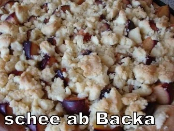 Rezept: Mein Pflaumenkuchen im Nussbett mit Streusel Bild Nr. 8 Mein Pflaumenkuchen im Nussbett mit Streusel - Rezept - Bild Nr. 8