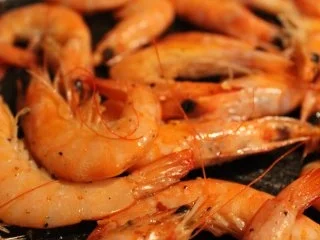 Fenchelslat mit Sampi - Rezept - Bild Nr. 2