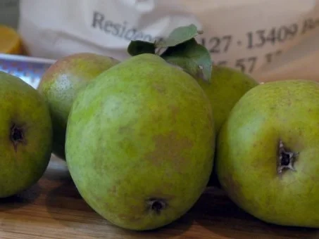 Rezept: Birnen-Ingwer-Marmelade Bild Nr. 2 Birnen-Ingwer-Marmelade - Rezept - Bild Nr. 2