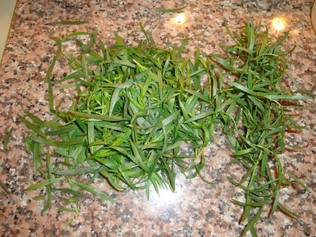 Tomaten-Letscho- Sauce - Rezept - Bild Nr. 4