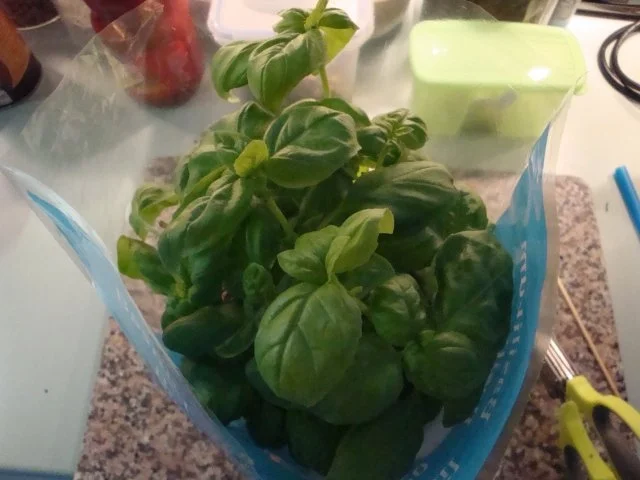 Tomaten-Letscho- Sauce - Rezept - Bild Nr. 5