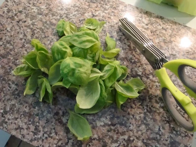 Tomaten-Letscho- Sauce - Rezept - Bild Nr. 6