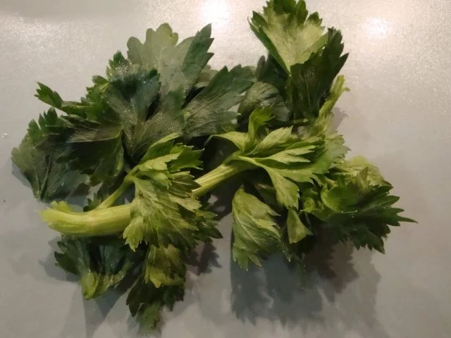 Tomaten-Letscho- Sauce - Rezept - Bild Nr. 7