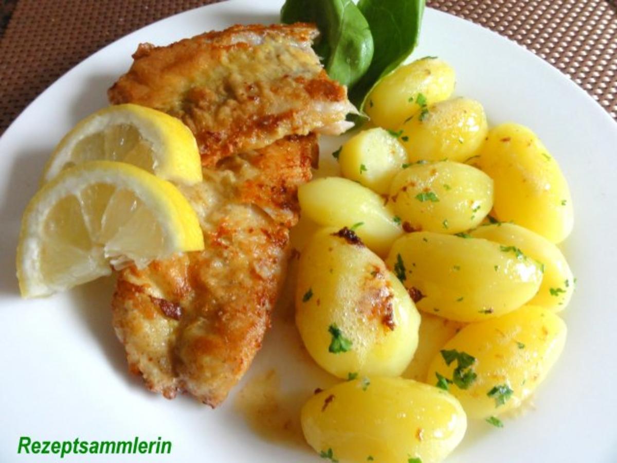 Fisch: ROTBARSCHFILET im Gewürzeimantel - Rezept - kochbar.de