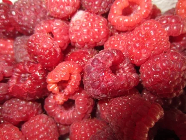 gepfefferte Himbeer-Chili-Milch - Rezept - Bild Nr. 2