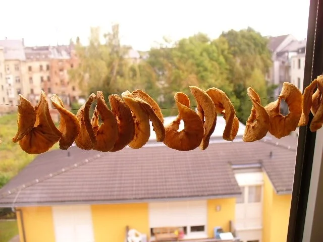 Rezept: Trockenobst (hier: Backäpfel) selbst hergestellt Bild Nr. 6 Trockenobst (hier: Backäpfel) selbst hergestellt - Rezept - Bild Nr. 6